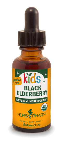 KIDS BLACK ELDERBERRY ALCOHOL FREE 1 fl oz