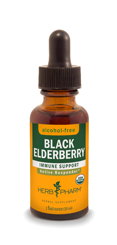 BLACK ELDERBERRY ALCOHOL FREE 1 fl oz