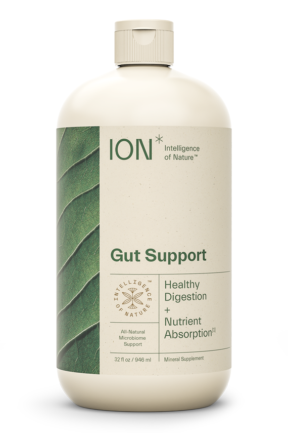 ION* Gut Support 32 fl oz